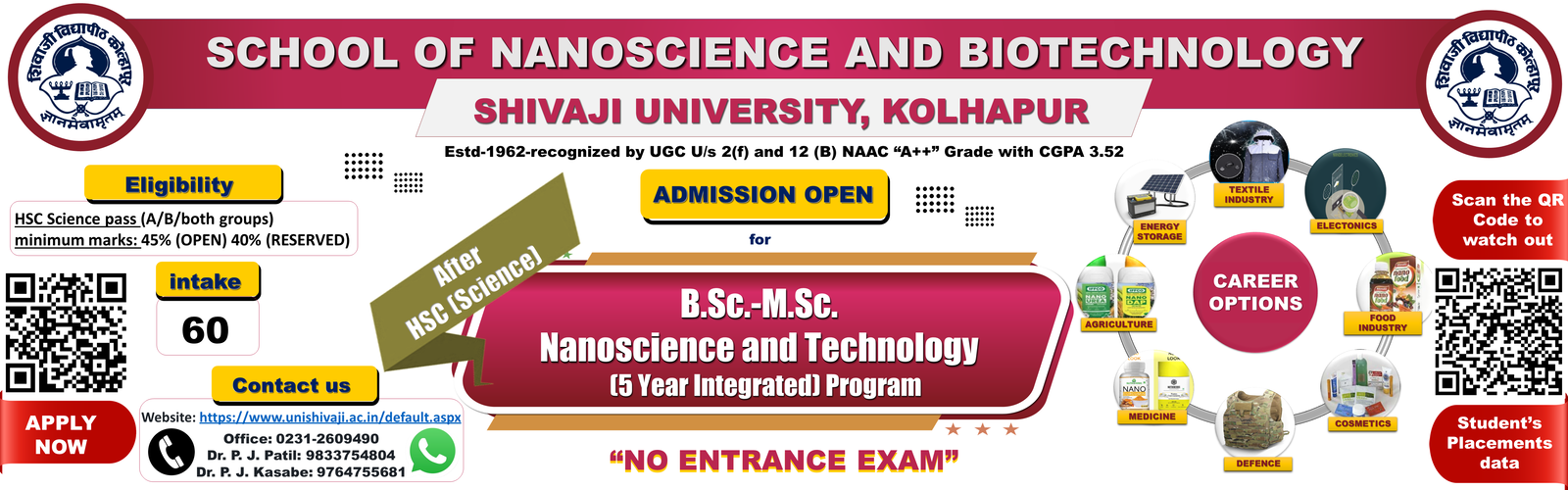 SCHOOL OF NANOSCIENCE AND TECHNOLOGY Banner